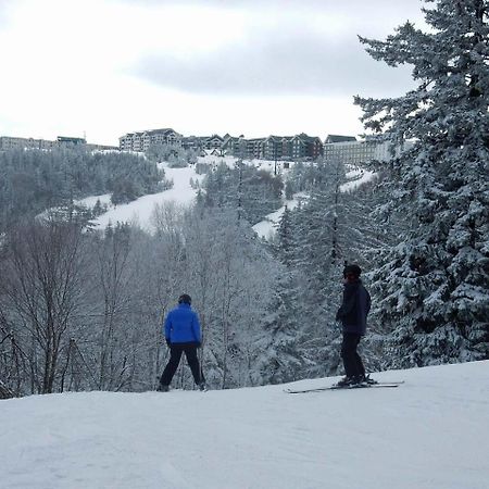 Loggers Run #8 Snowshoe Extérieur photo